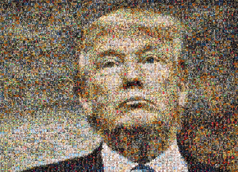 lost dog please help